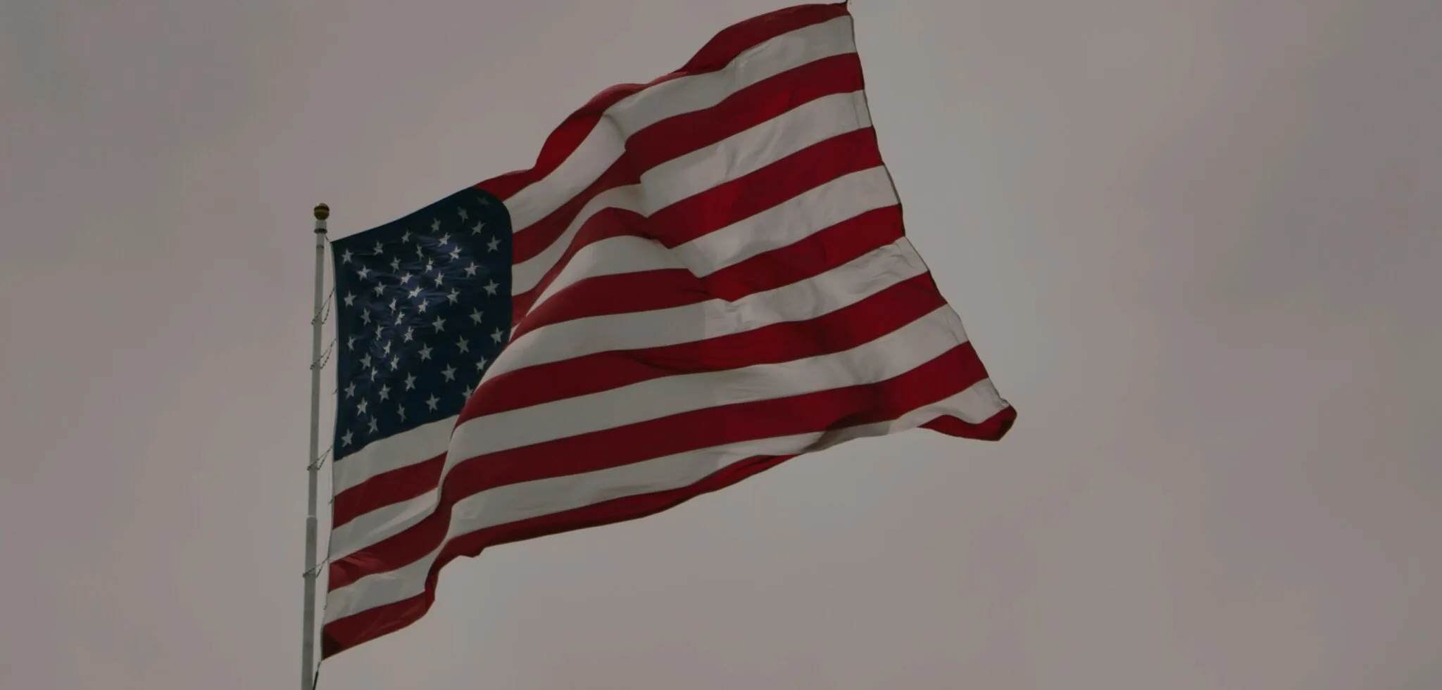 Product Announcement: U.S.A. Registry Coverage Expansion