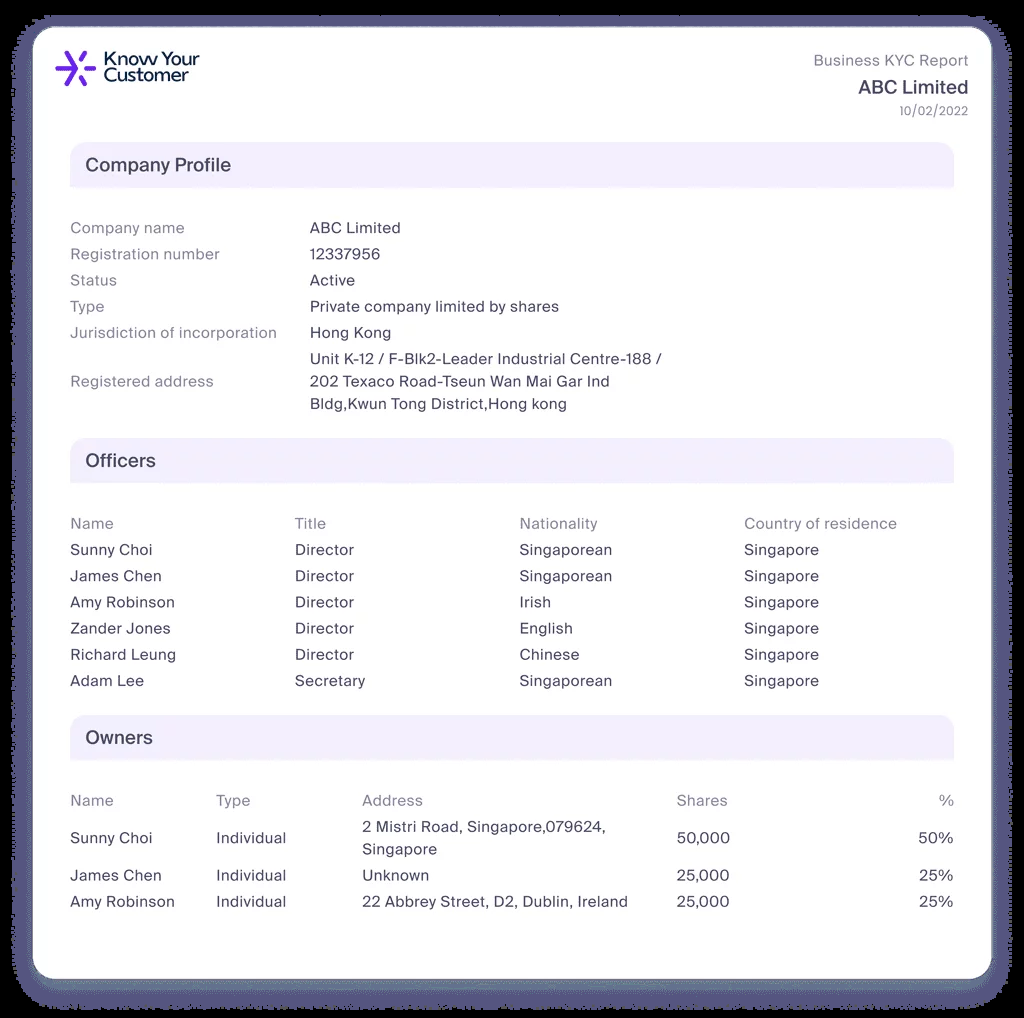Know Your Customer AML compliance software screenshot