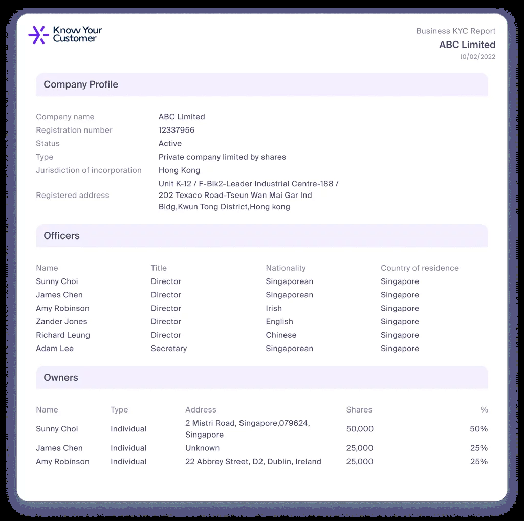 Know Your Customer AML compliance software screenshot